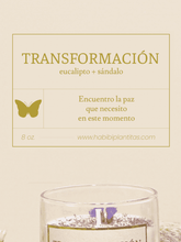 vela-aromatica-transformacion-deseos-regalos-con-velas-regalos-dia-de-la-madre-habibi-plantitas.png